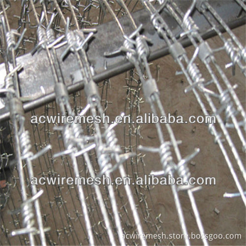 barbed wire netting